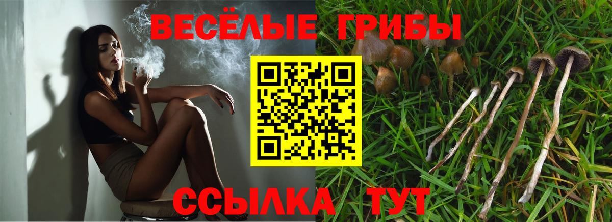 Галлюциногенные грибы Psilocybine cubensis  Псилоцибиновые грибы MAGIC MUSHROOMS  Вход с VPN  Рубцовск 