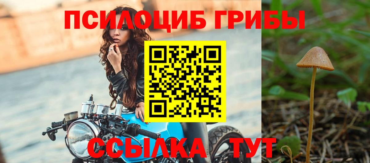 Псилоцибиновые грибы мицелий Рубцовск